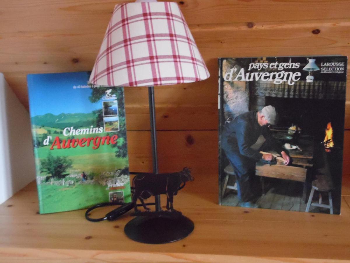 Chalet Des Clarines Saint-Genès-Champespe Екстериор снимка